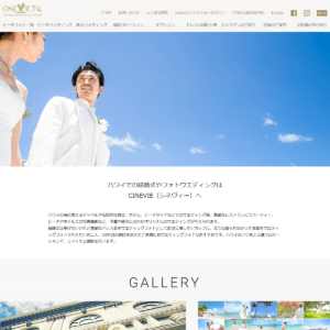 シネヴィーの画像